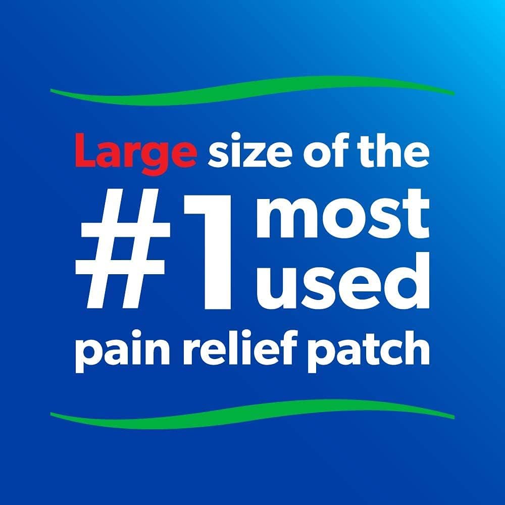 Salonpas Pain Relieving Patches, 60 Count