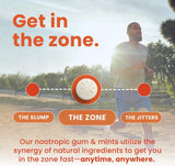 NeuroGum, Energy & Focus, Cinnamon, 12 Packs, 9 Pieces Each (108 Pieces)