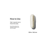 Thorne Research - Ferrasorb - Complete Blood-Building Formula with Iron, Folate, and B Vitamins - 60 Capsules