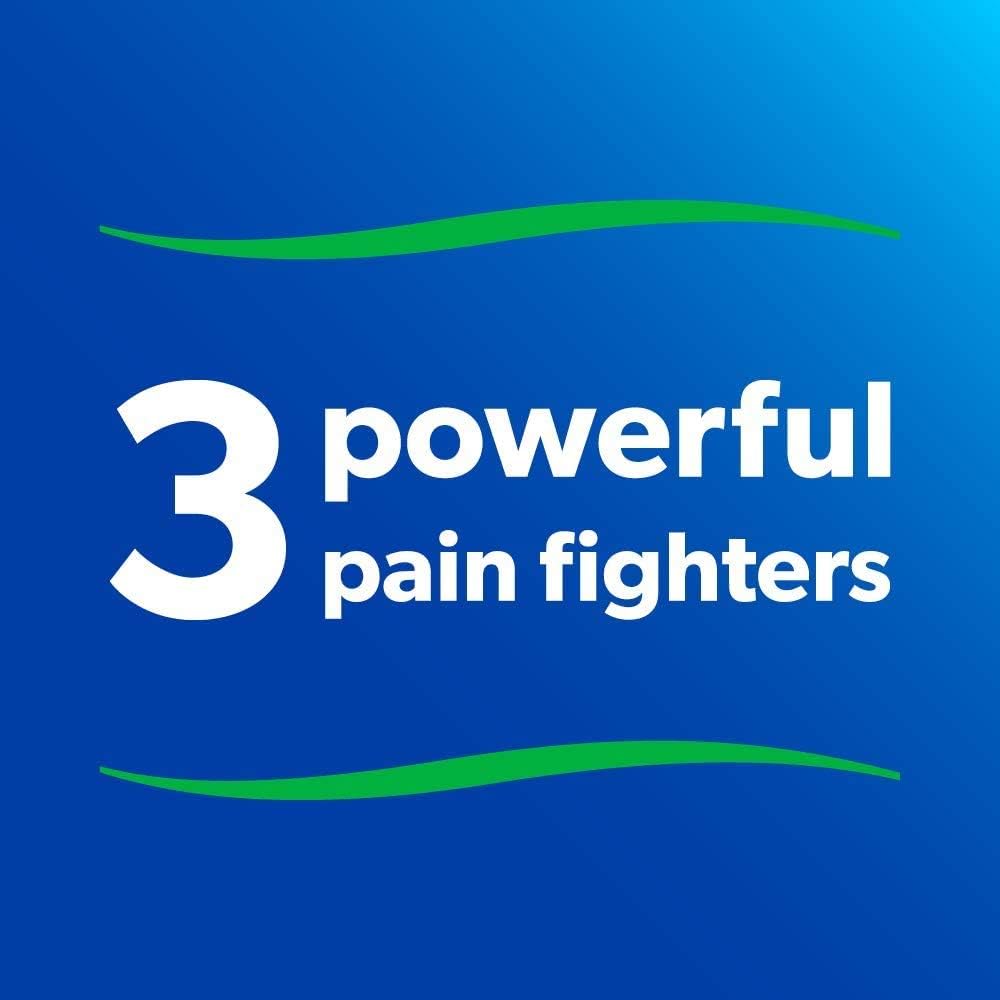 Salonpas Pain Relieving Patches, 60 Count