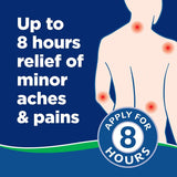 Salonpas Pain Relieving Patches, 60 Count
