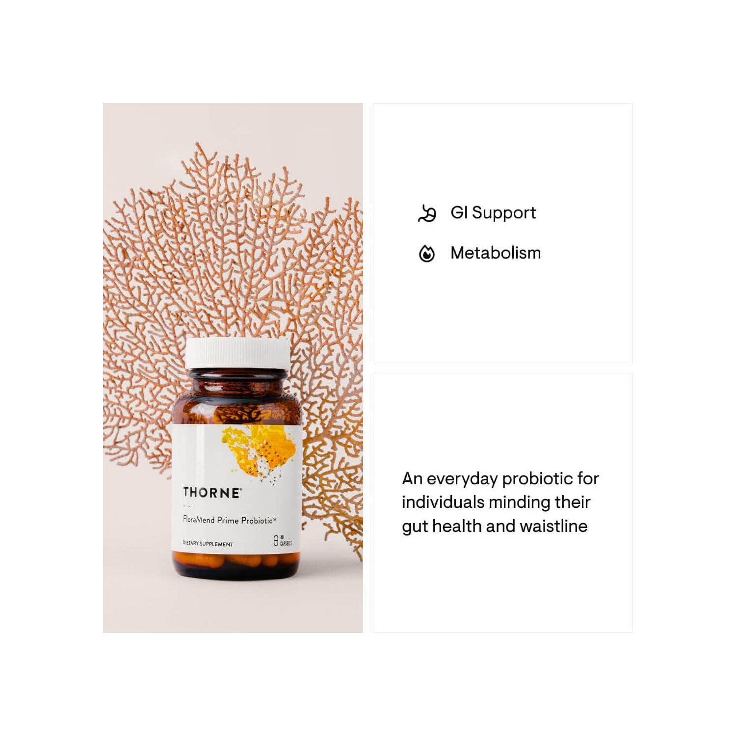 Thorne Research - FloraMend Prime Probiotic - Shelf Stable and Stomach Acid-Resistant Probiotic Blend - 30 Capsules
