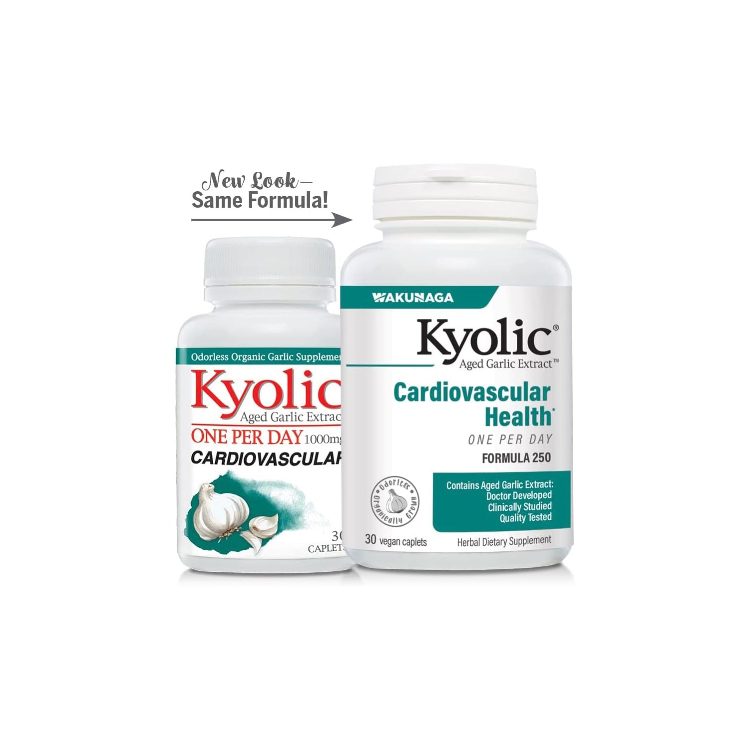 Kyolic Aged Garlic Extract One Per Day Cardiovascular Supplement, 30 Vegetarian Capsules