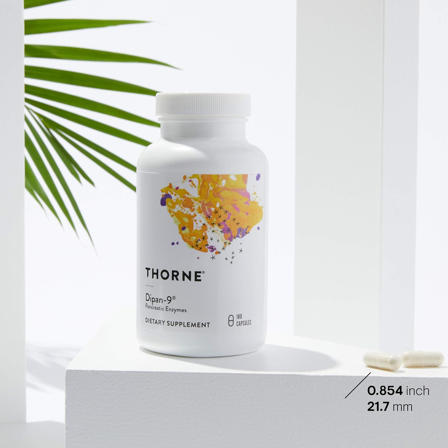 Thorne Research - Dipan-9 - Pancreatic Enzymes for Digestive Support - 180 Capsules