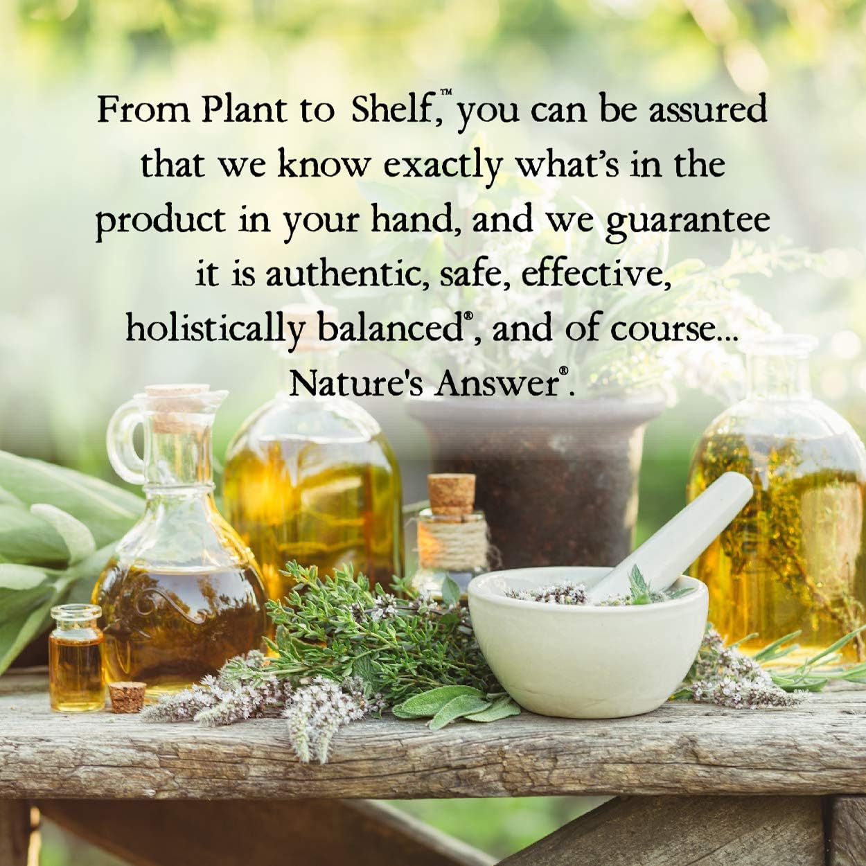Nature's Answer Natures' Answer Alcohol-Free Mullein Leaf, 1-Fluid Ounce