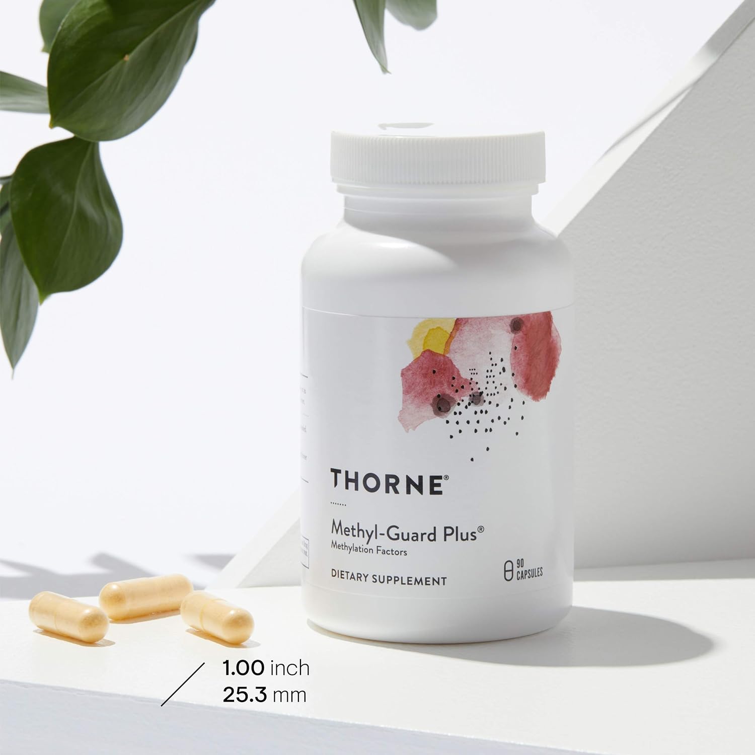 Thorne Methyl-Guard Plus - Active folate (5-MTHF) with Vitamins B2, B6, and B12 - Healthy Level of homocysteine - Gluten-Free, Dairy-Free, Soy-Free - 90 Capsules