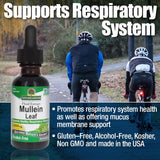 Nature's Answer Natures' Answer Alcohol-Free Mullein Leaf, 1-Fluid Ounce