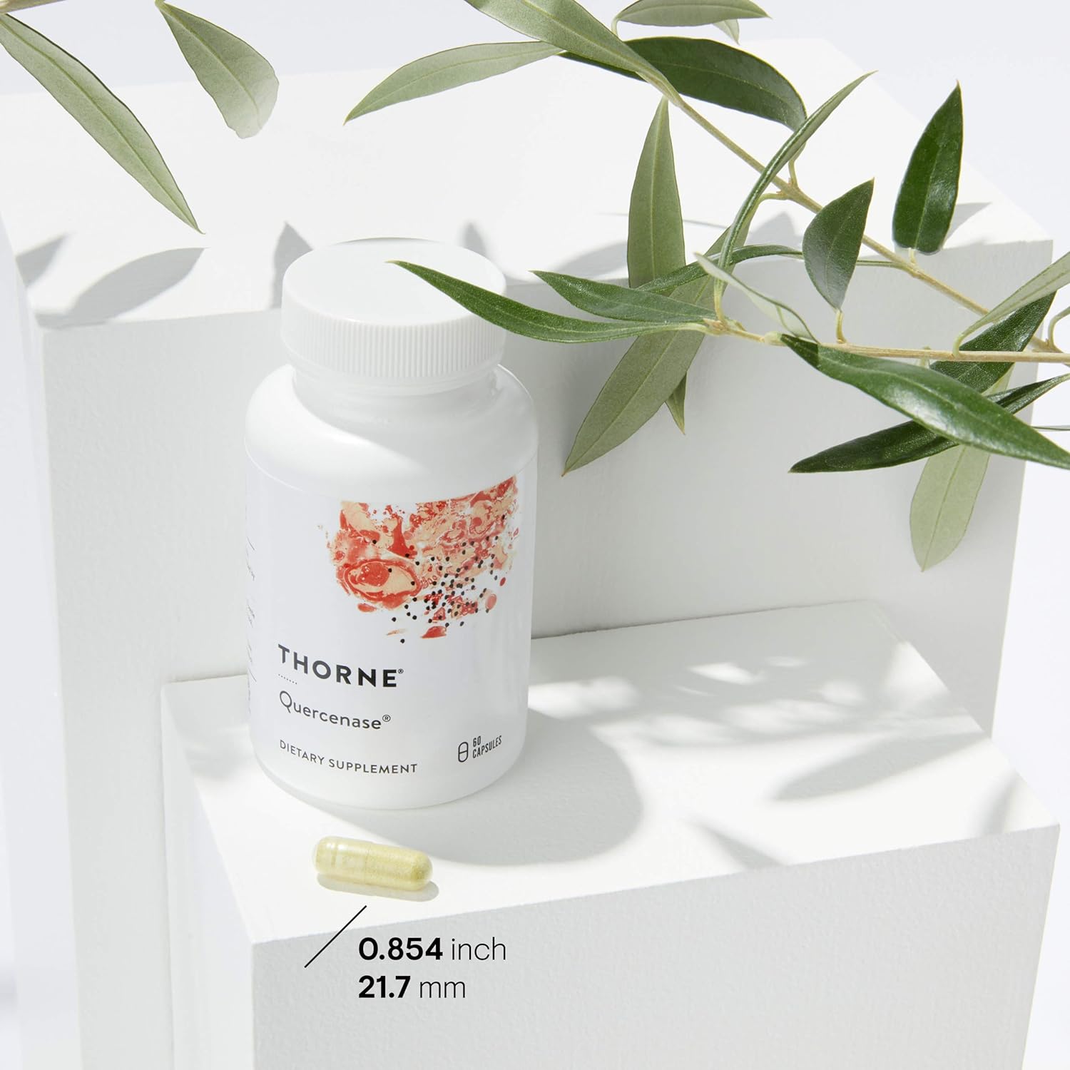 Thorne Research - Quercenase - Quercetin Phytosome Supplement with Bromelain - 60 Capsules
