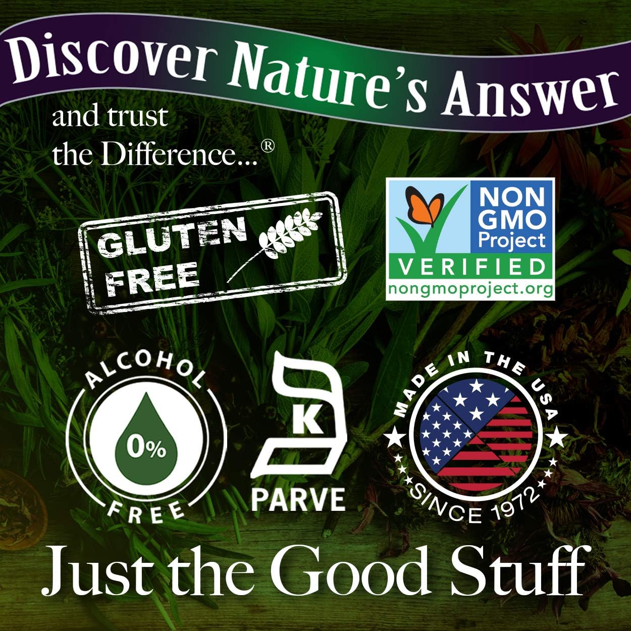 Nature's Answer Natures' Answer Alcohol-Free Mullein Leaf, 1-Fluid Ounce