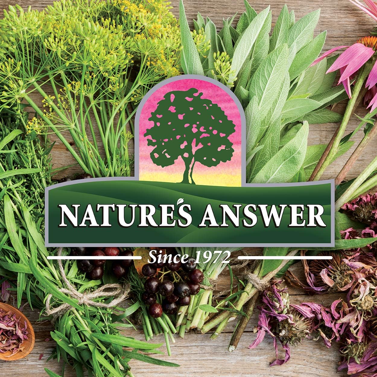 Nature's Answer Natures' Answer Alcohol-Free Mullein Leaf, 1-Fluid Ounce