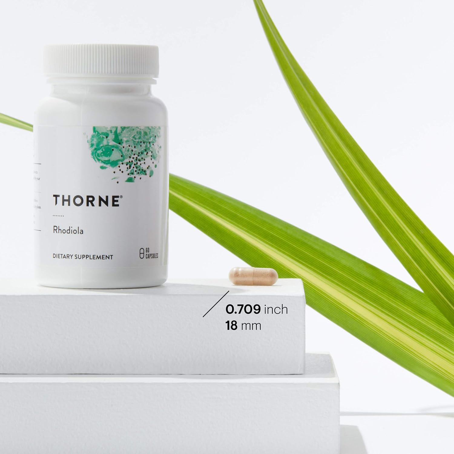 Thorne Research - Rhodiola - Botanical Supplement for Stress Relief - Enhances Mood, Sleep, and Mental Focus - 60 Capsules