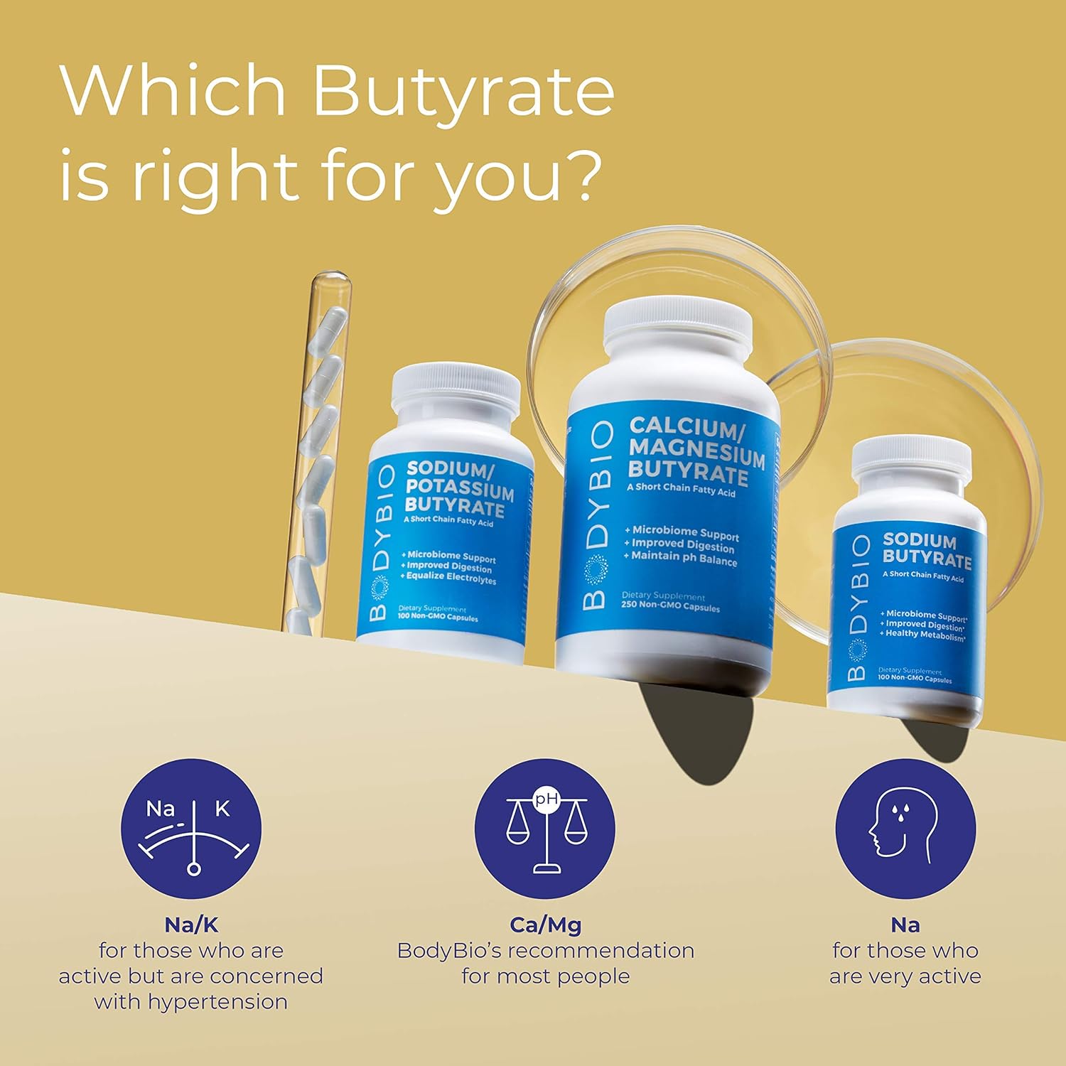 BodyBio Butyrate with Sodium - Supports Healthy Digestion, Gut & Microbiome - Increases Leptin Production for Appetite Control - No Fillers or Additives - 60 Capsules